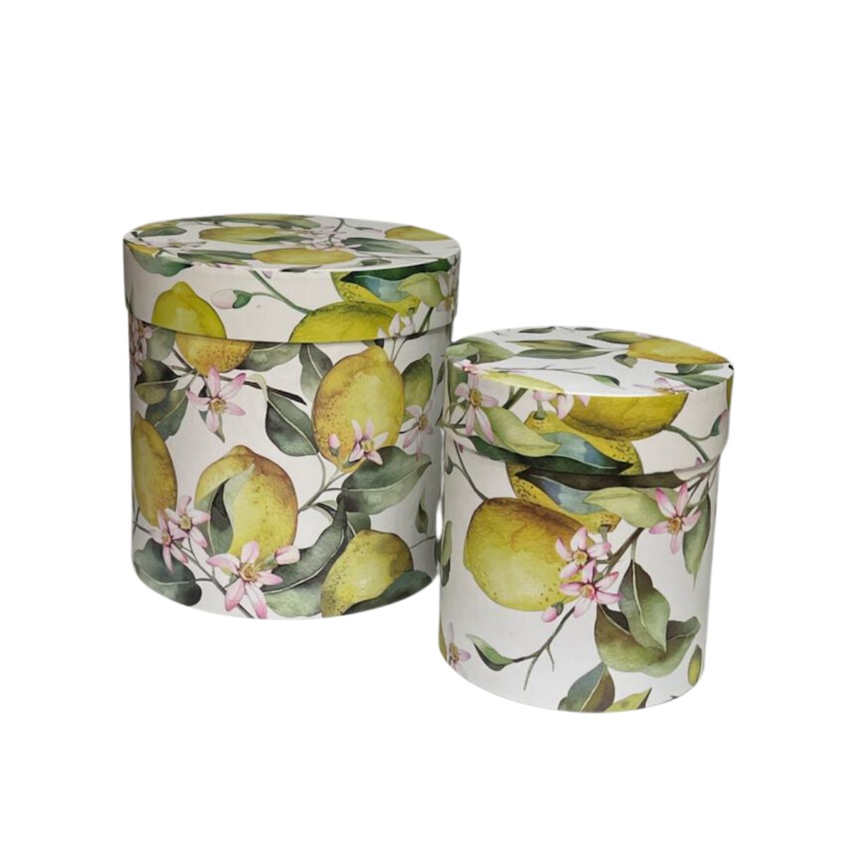 Set da 2 Limoni Giallo