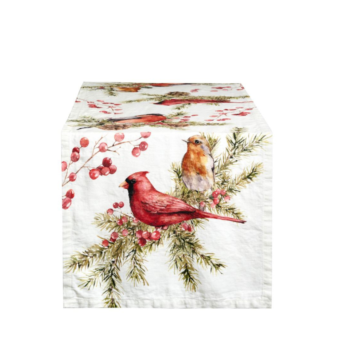 Runner Winter birds