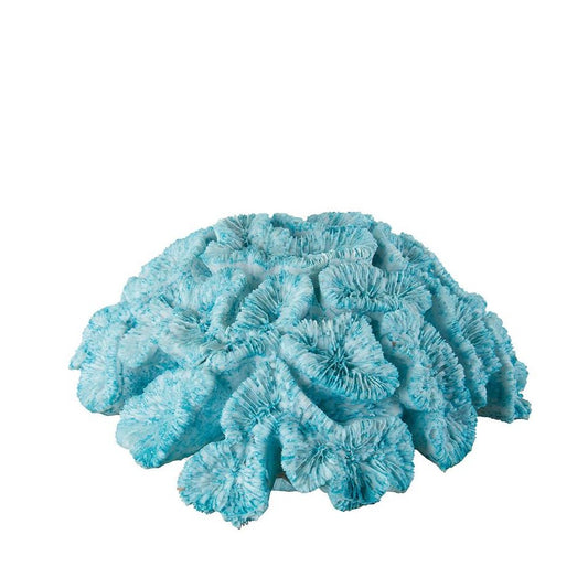 Corallo turchese